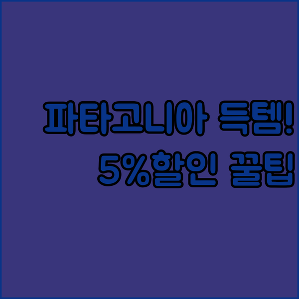 파타고니아 재킷 득템? 29만원짜리 