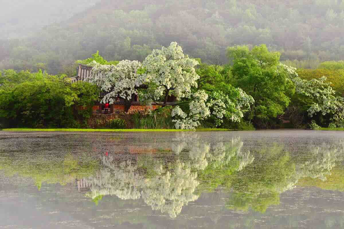 밀양 위양지 겨울 풍경이 보여주는 수면의 정적과 비워진 계절의 깊은 사유
