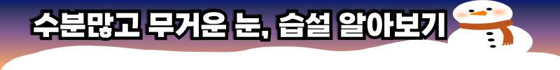 대설경보에 자주 등장하는 습설 알아보기
