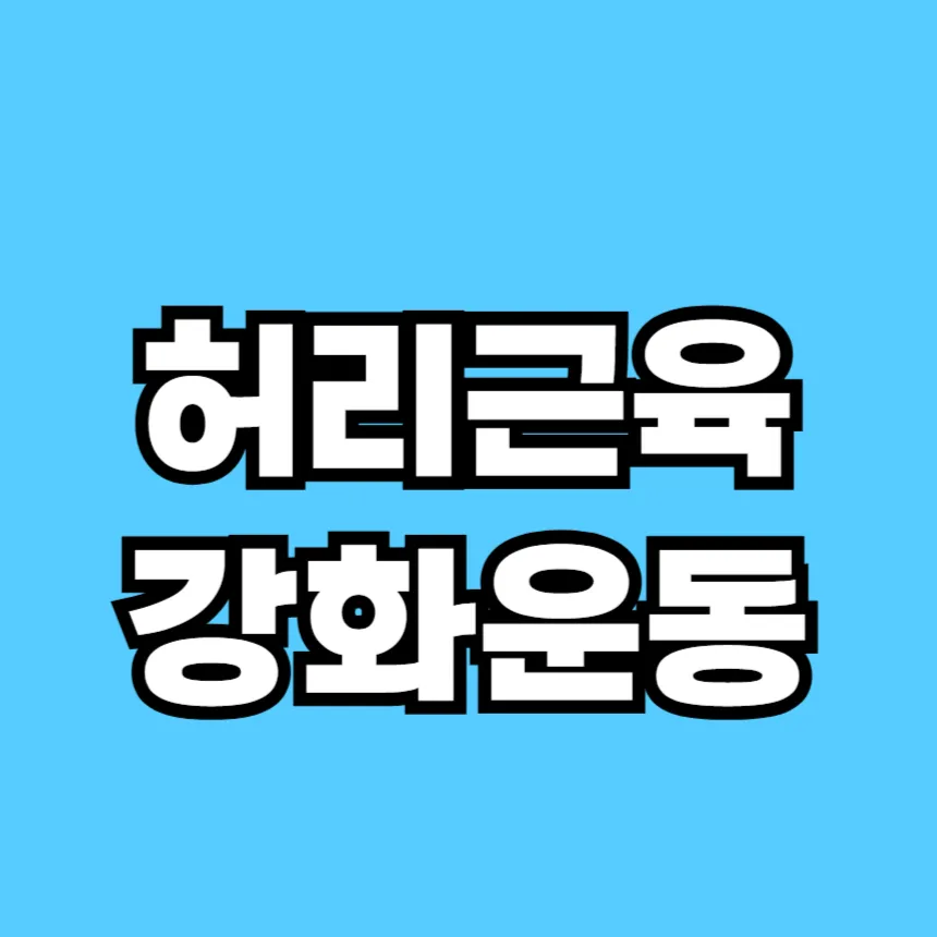 허리근육 강화운동
