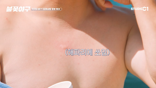 불꽃야구