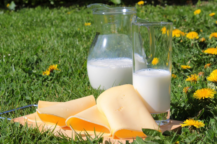 우유-설사-이유–유당불내증-유당분해효소-역할-락토스-락타아제