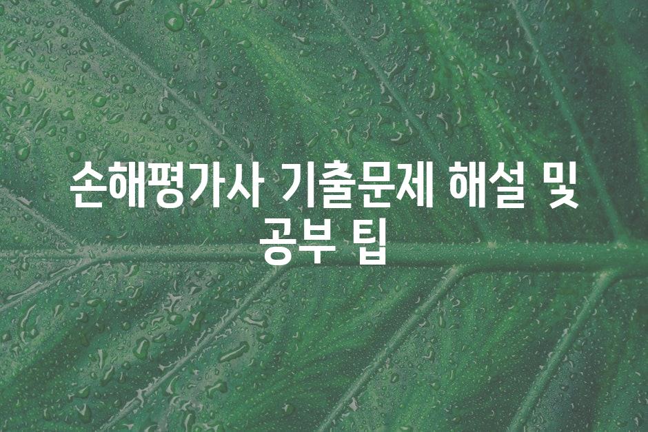 샘플 (44)