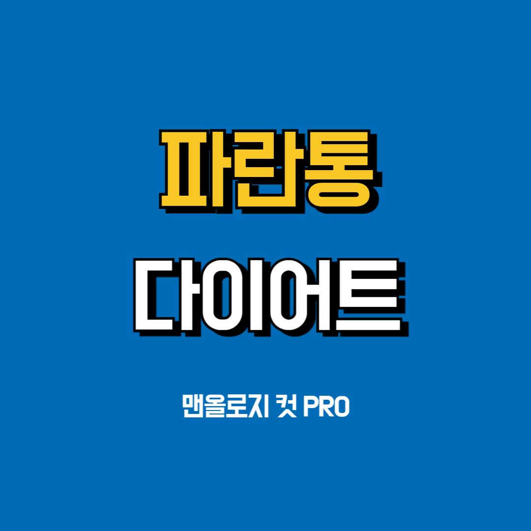 파란통-다이어트