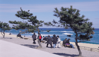 가을 바다 열차 여행 추천