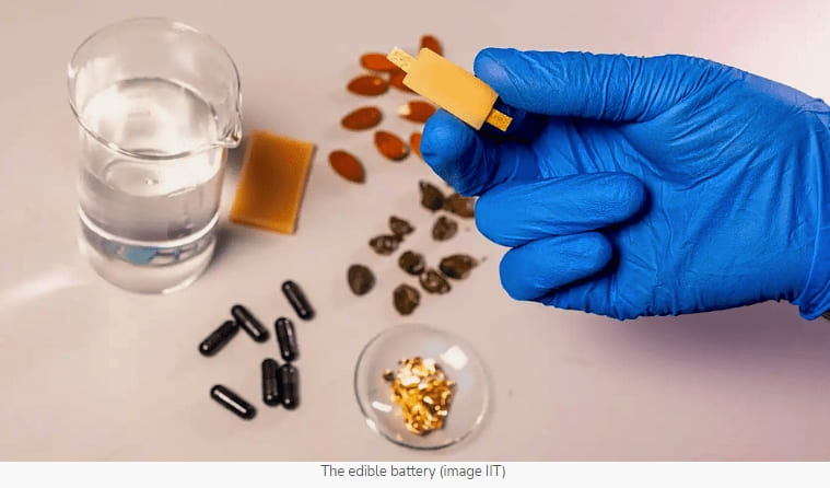 세계 최초 식용 충전 배터리 개발 Power your meal: World&rsquo;s first edible battery unveiled