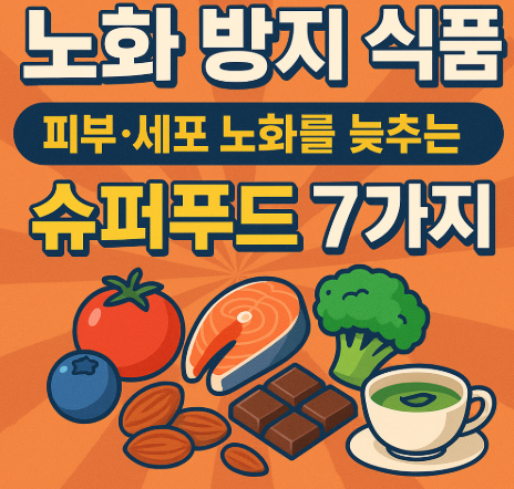 노화 방지 식품 관련 사진