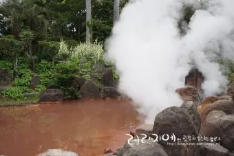 일본 벳부 유후인 후쿠오카 여행_20