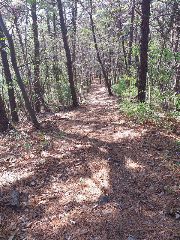 등산 칼로리