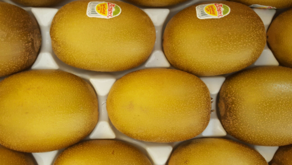 골드키위 부작용