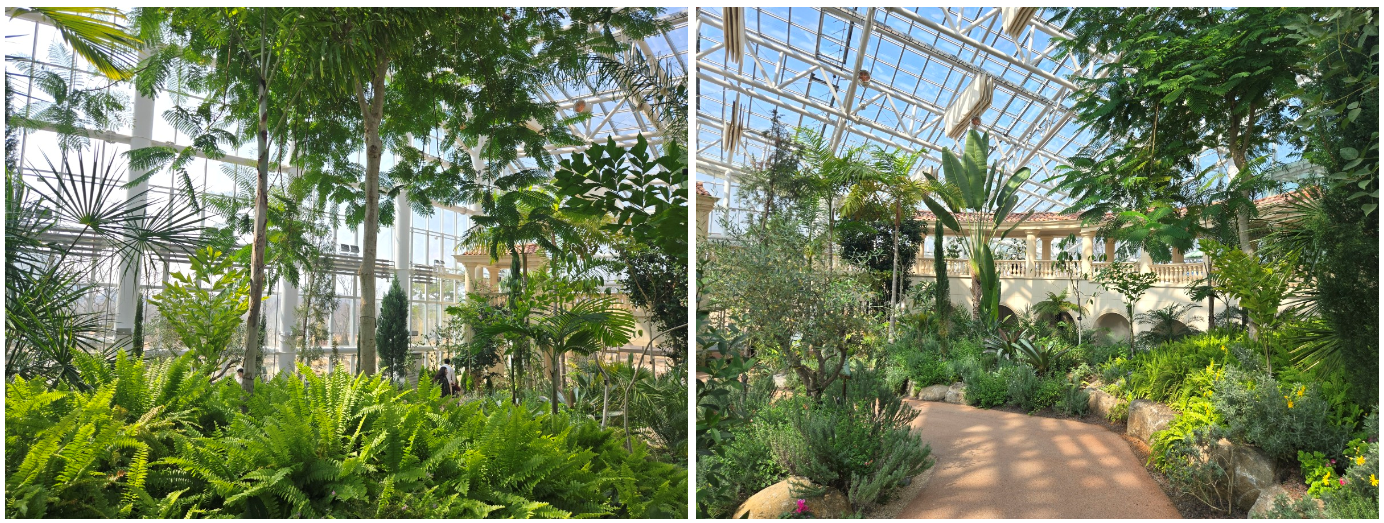 전시 온실 내부