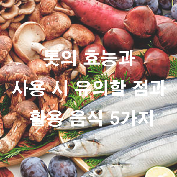 톳의 효능과 사용 시 유의할 점과 활용 음식 5가지
