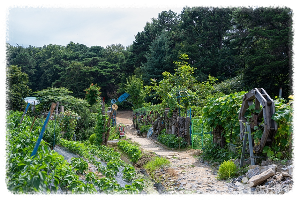 서봉산