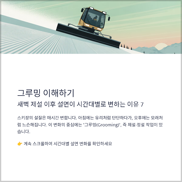 그루밍 이해하기