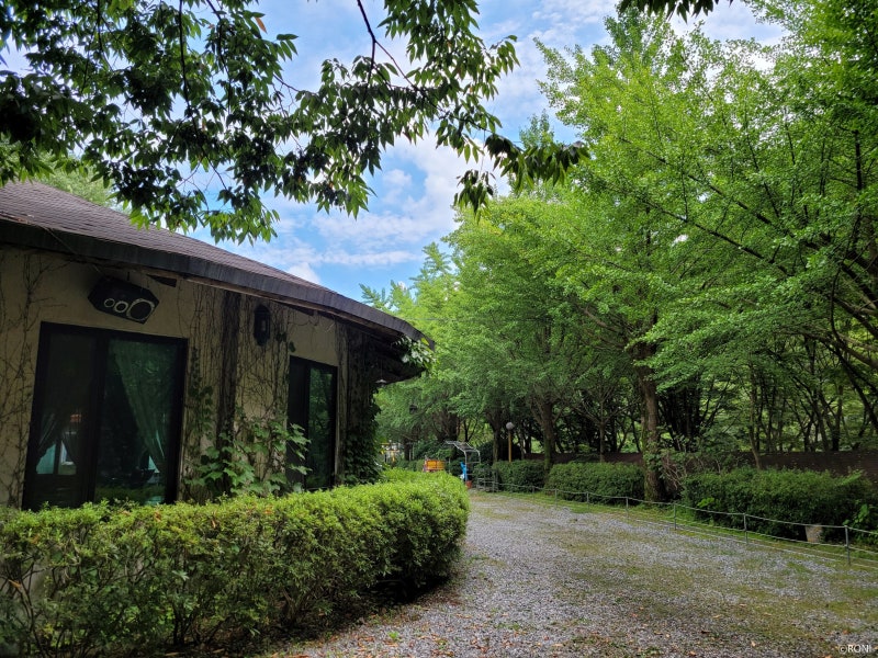 가평 닭백숙 가든 맛집, 산장대통령