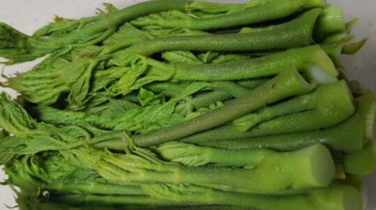 두릅 데치는 시간