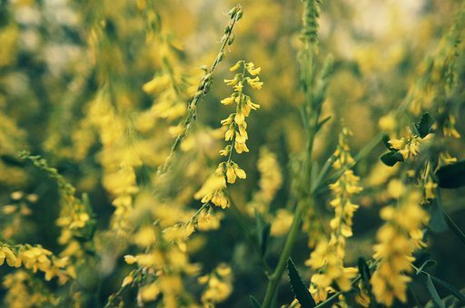 2023 최저임금 실수령액