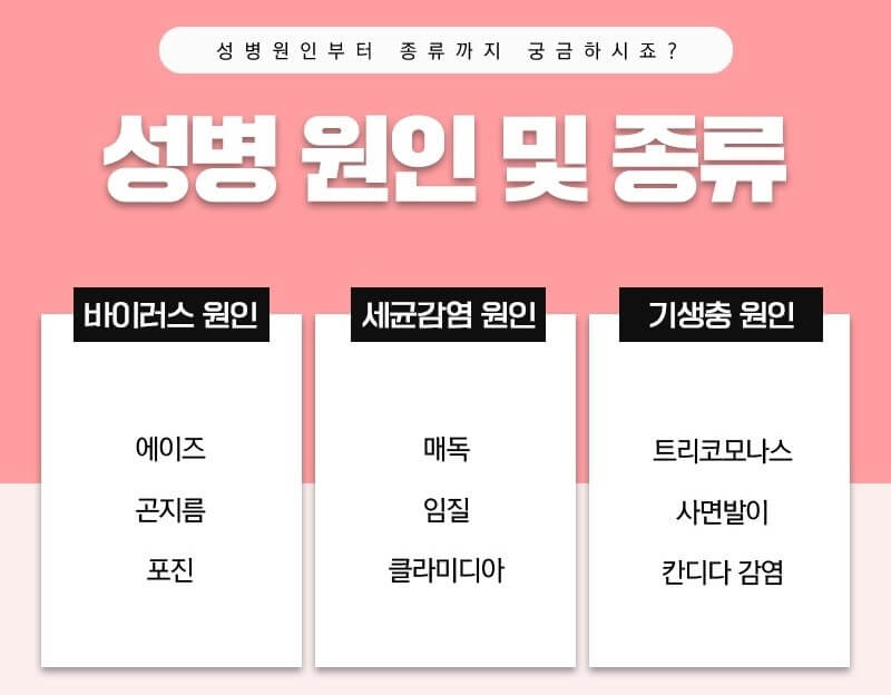 성병의 원인과 종류
