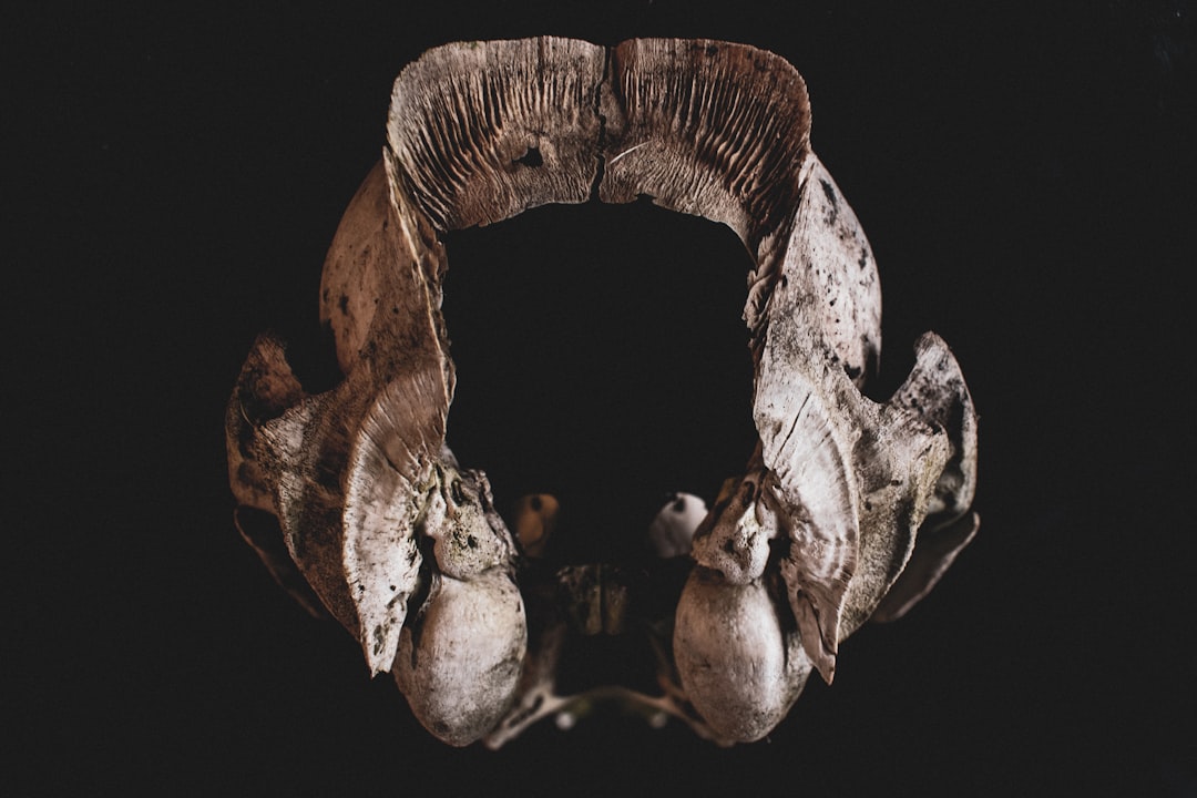 Osteoporosis