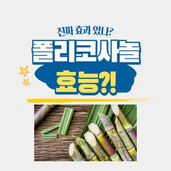 폴리코사놀 효능 알아보기 건강 보조제 정보_14