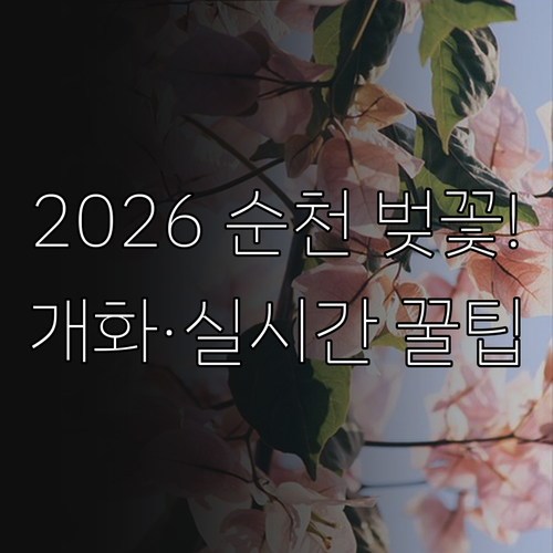 2026 순천 벚꽃 축제 개화일 절정..