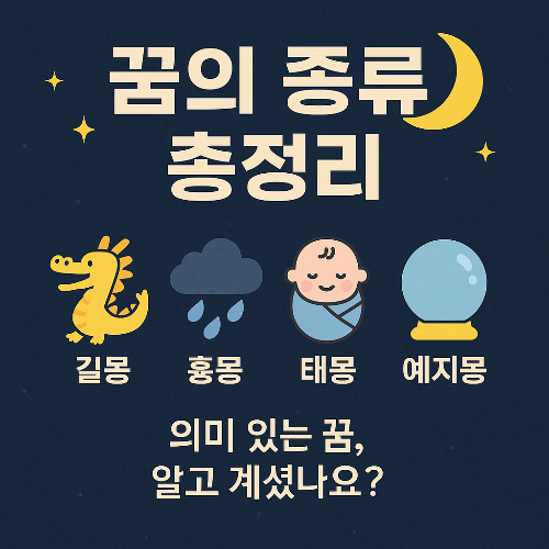 꿈의 종류 해석 총정리