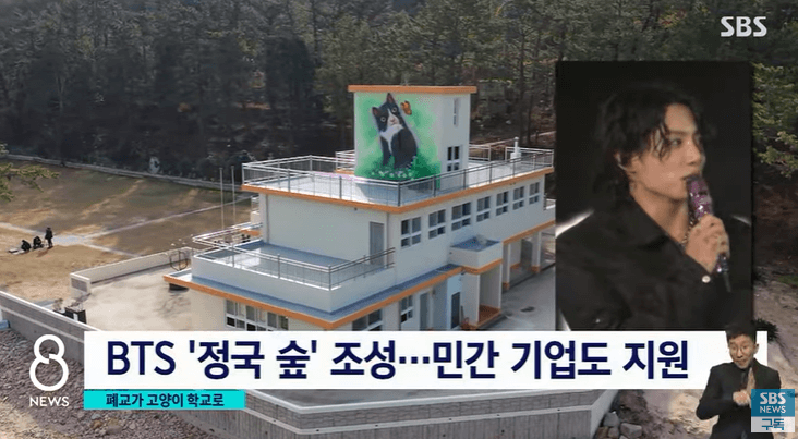 통영 고양이 학교 정국숲5호