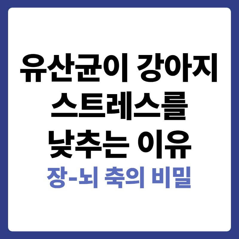 반려견의 장내 미생물 생태계와 뇌가 미주신경으로 연결되어 유산균 섭취 시 스트레스 호르몬인 코르티솔 수치가 감소하는 원리를 설명하는 안내 이미지