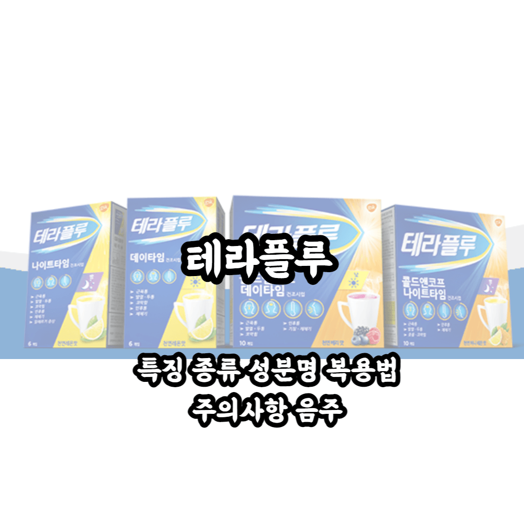 테라플루의 특징 종류 성분 복용법 주의사항 음주 총정리