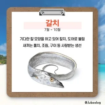 8월 제철 해산물과 7월 제철 해산물 종류 및 주의사항_8