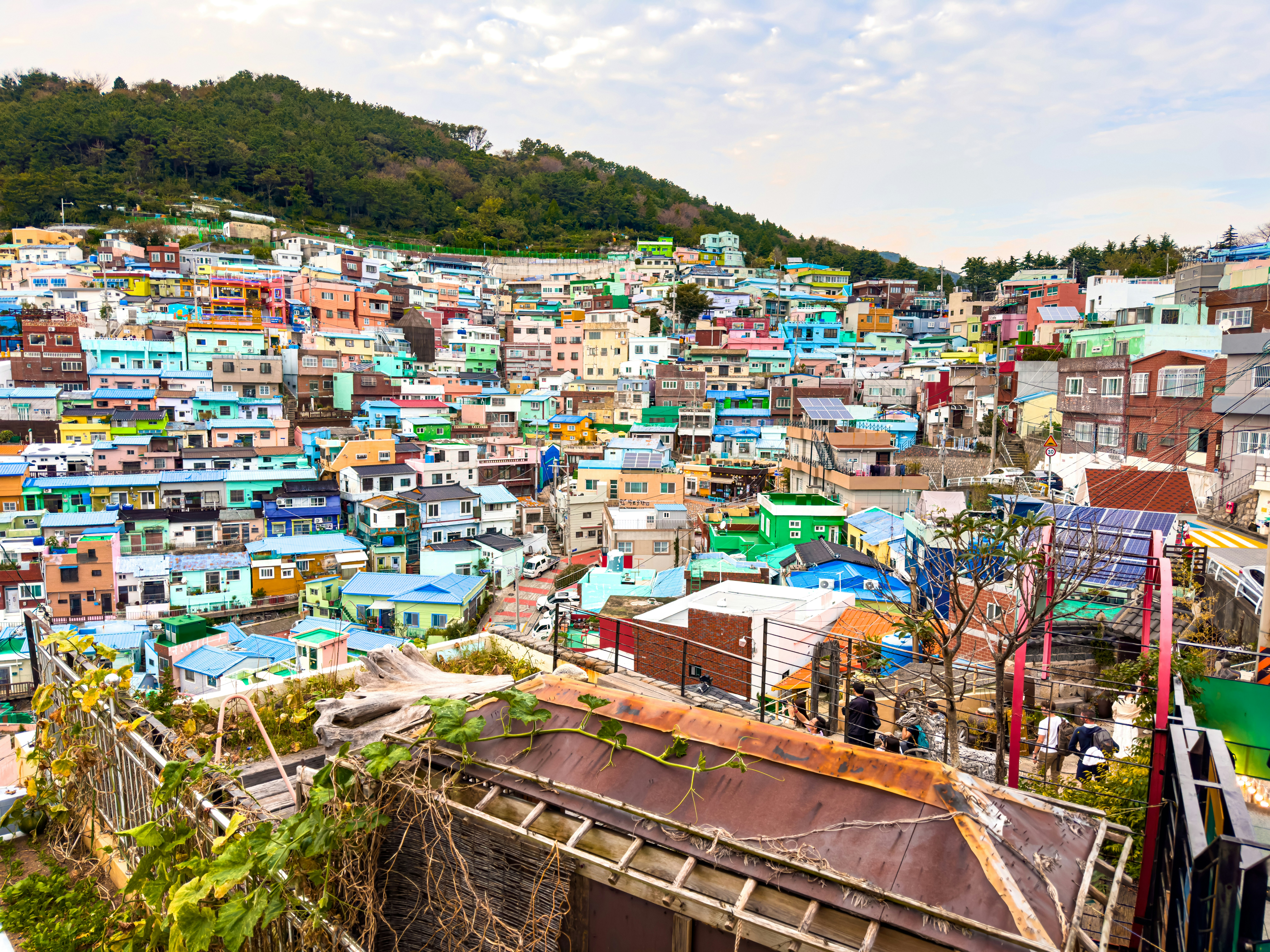 다채로운 건물이 모여 있는 마을 전경