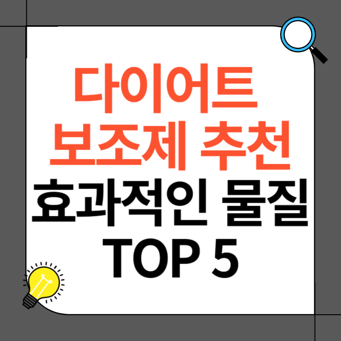 다이어트 보조제 추천