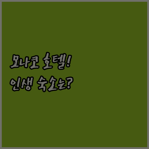 모나코 호텔 추천 TOP 5 위치 장..