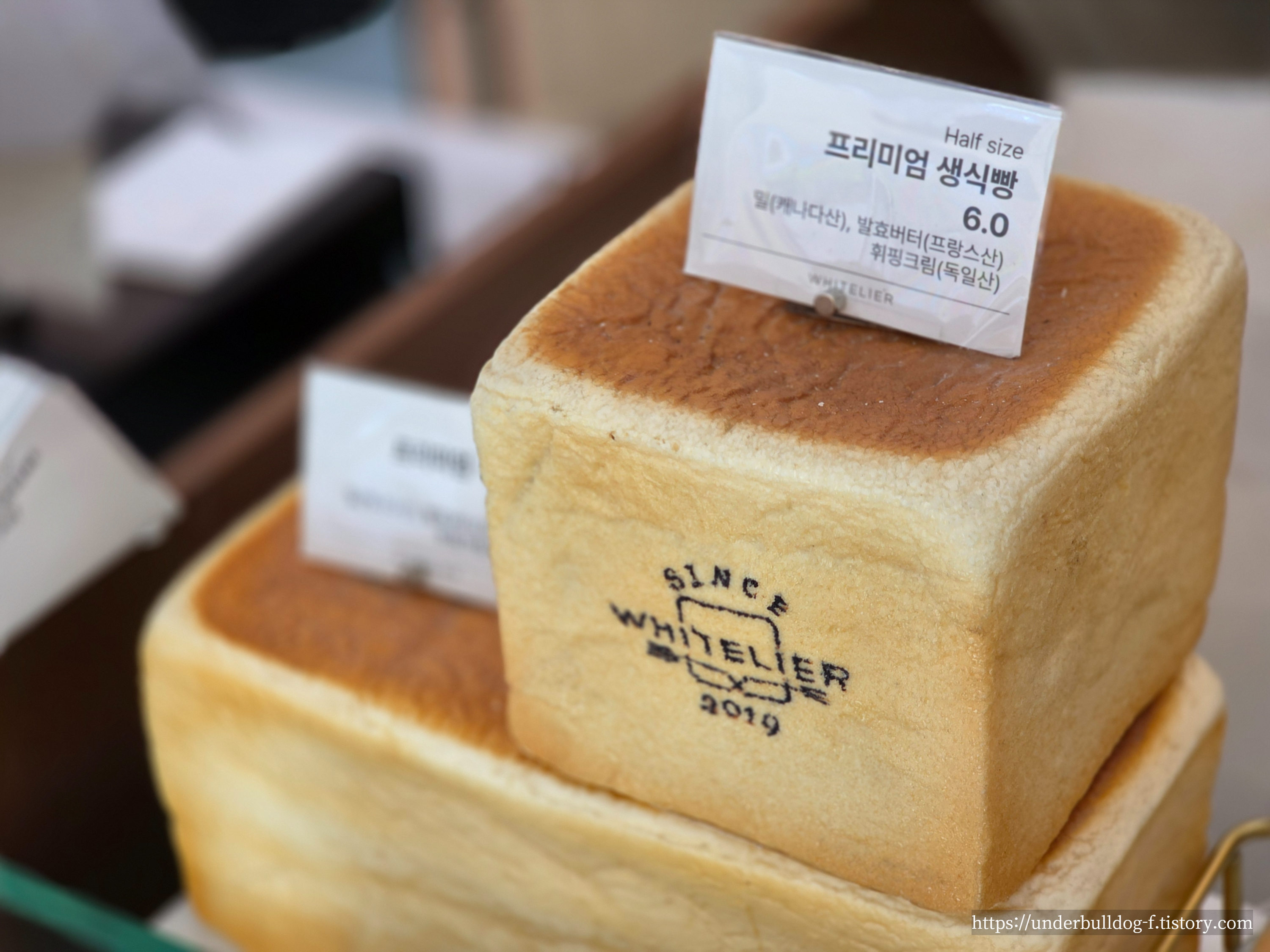 청주 지웰시티에서 만난 화이트리에 생식빵 첫인상