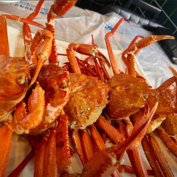 주문진홍게무한리필 메뉴 이미지