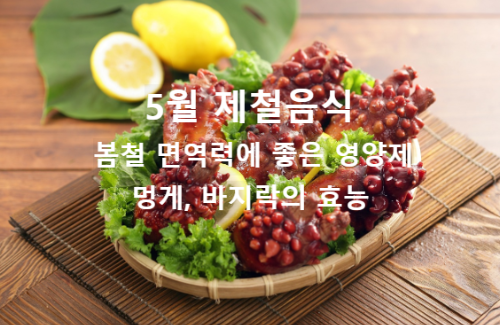 5월 제철 음식 봄철 천연 피로회복제 바다의 보약, 멍게와 바지락 효능 및 부작용 총정리