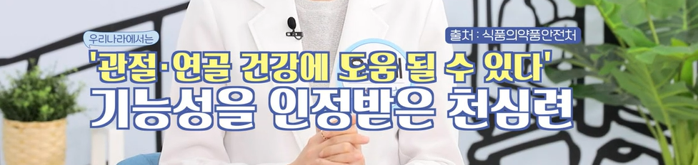 천심련