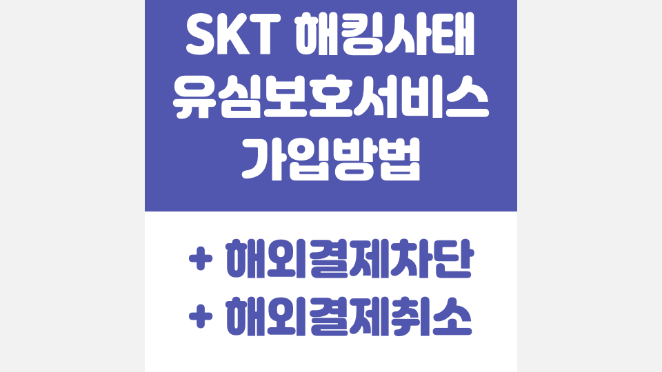 SKT 해킹 대응법, 유심보호서비스 신청 방법과 해외 결제 피해 예방법 총정리