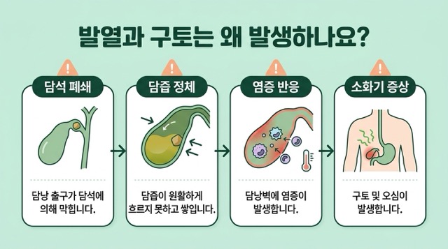 담낭염 증상 오른쪽 윗배 통증 열 구토 황달 최종 정리