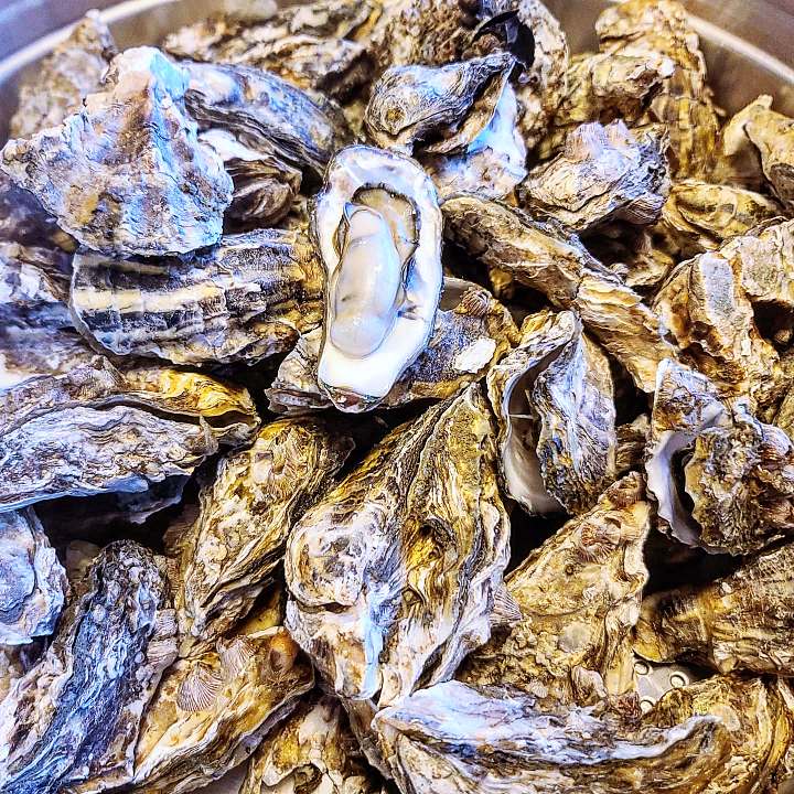 꼼치맑은탕 꼼치매운탕 주꾸미 볶음 굴찜 해물 특산물 한상 보령 대천해수욕장 맛집 추천 생방송투데이 보고 먹고 즐기고 3GO