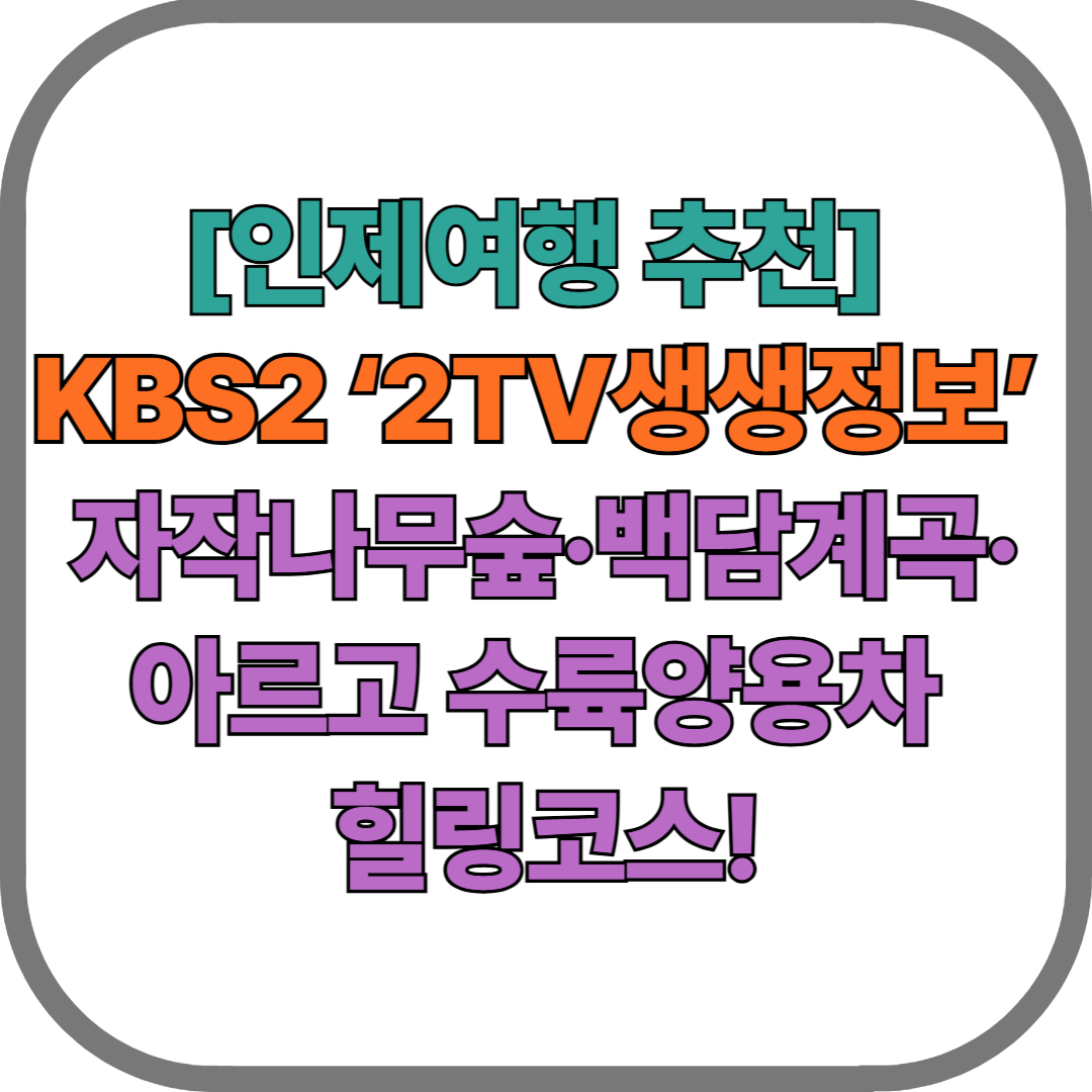 [인제여행 추천] KBS2 ‘2TV생생정보’ : 원대리 자작나무숲·백담계곡·아르고 수륙양용차 힐링코스!