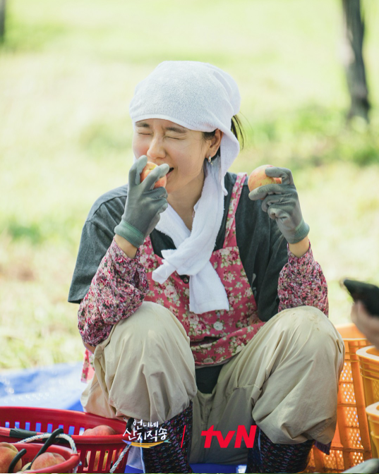 안은진 복숭아 체험