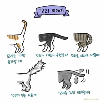 고양이 꼬리 언어, 꼬리 세우는 이유, 흔드는 이유_29