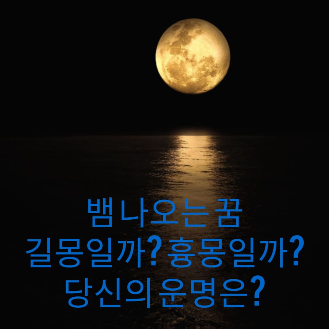 뱀-나오는-꿈-길몽일까-흉몽일까-당신의-운명은-썸네일