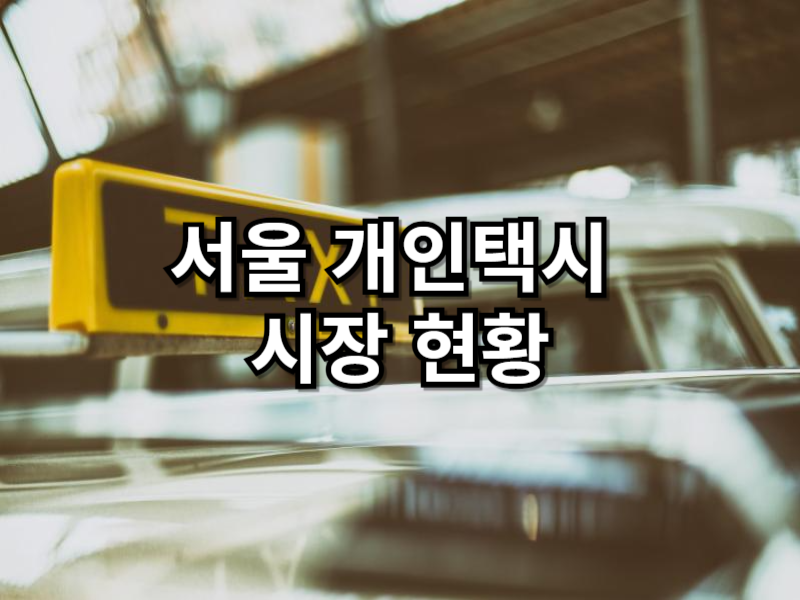 서울 개인택시 시장 현황