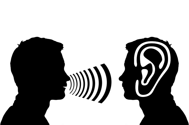 귓속 이명(귀울림)