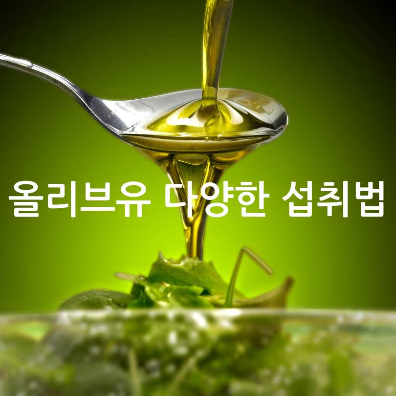 그리스산 코로네이키 올리브유 효능과 선택 팁