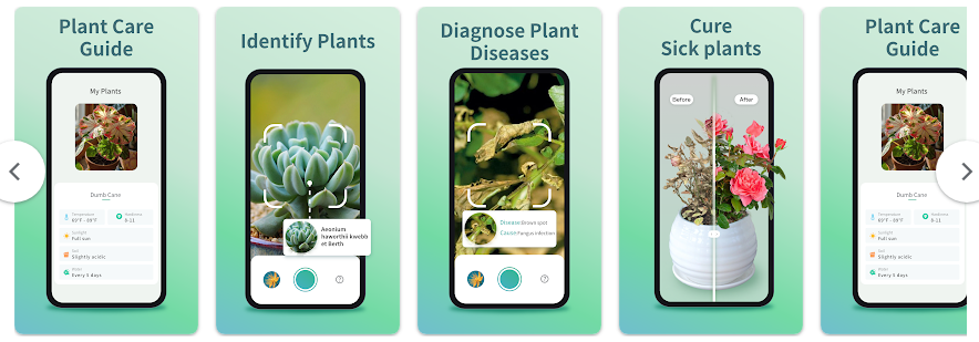 식물이름 찾기 어플, 핸드폰 식물사진으로 검색하고 식물식별 이름 찾기