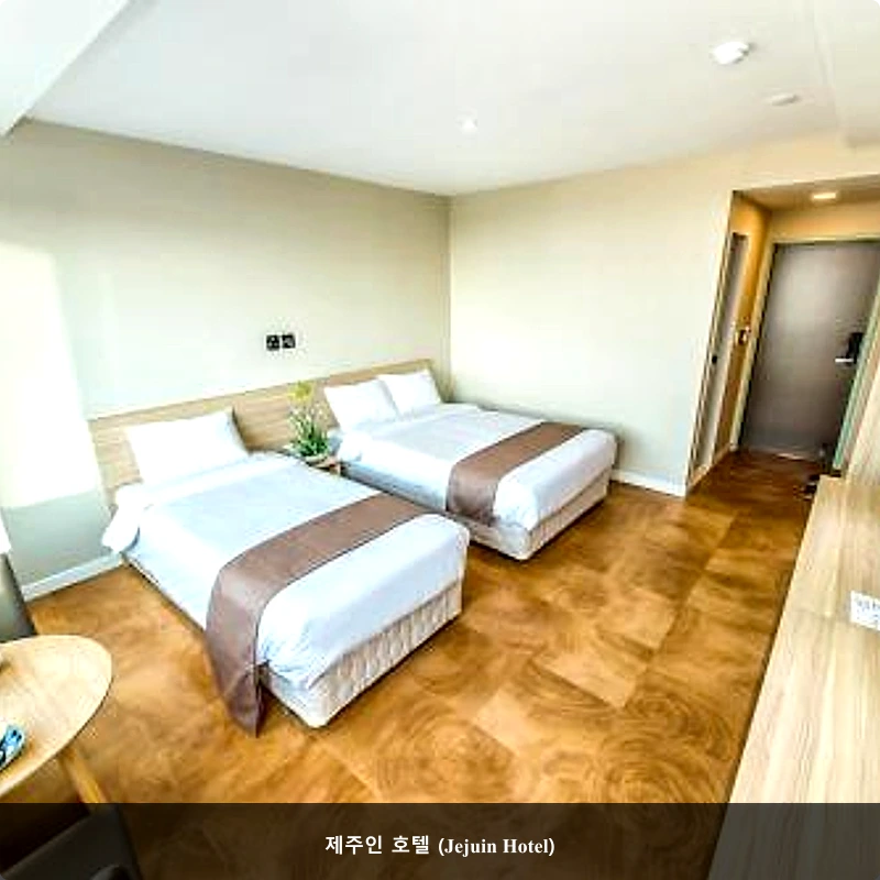 제주인 호텔 (Jejuin Hotel)_2