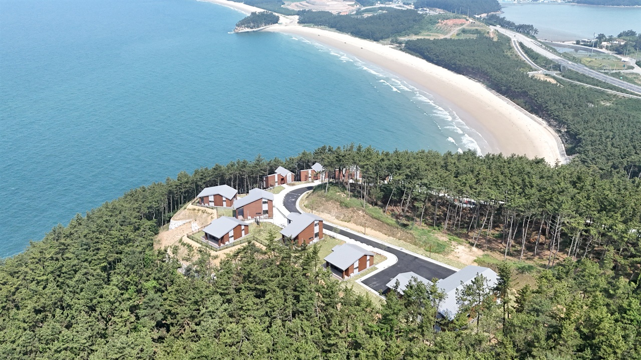 2026년 현재 서해안 최고의 힐링 스팟으로 자리 잡은 '국립원산도자연휴양림 전경